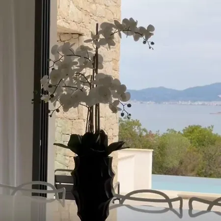 Napoleon Vue Et Piscine Pietrosella