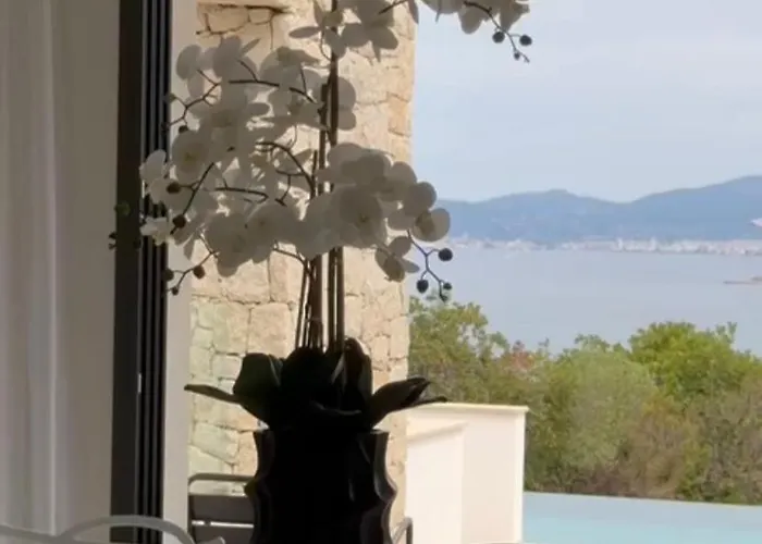 Napoleon Vue Et Piscine Pietrosella