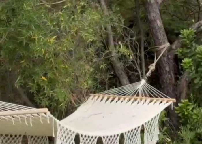 Villa Napoleon Vue Et Piscine Pietrosella