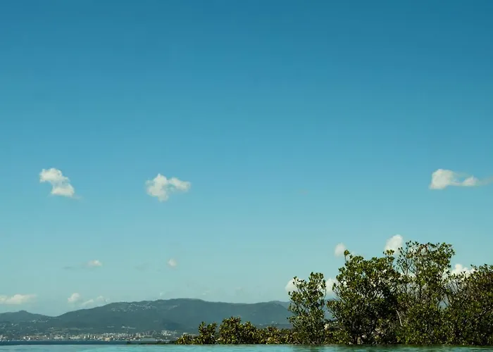 Napoleon Vue Et Piscine Villa Pietrosella