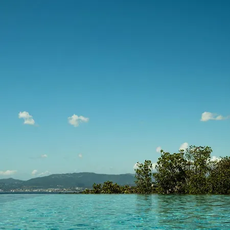 Napoleon Vue Et Piscine Villa Pietrosella